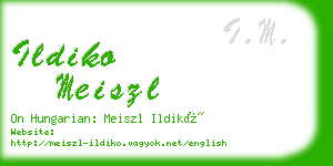 ildiko meiszl business card